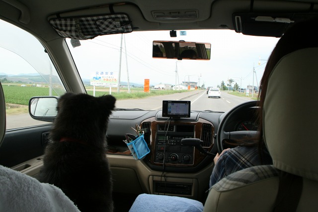 ファイル 174-3.jpg