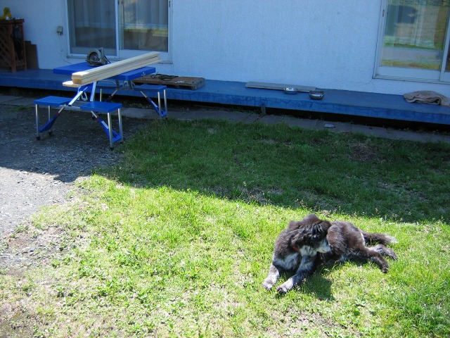 ファイル 176-1.jpg