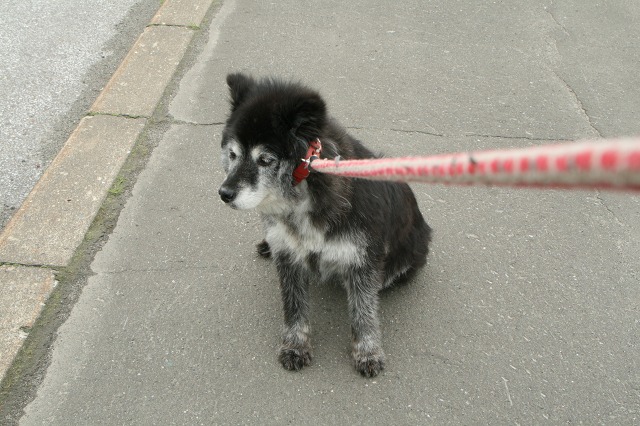 ファイル 177-3.jpg