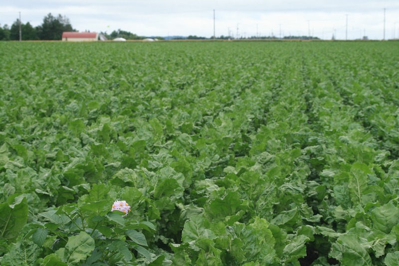 ファイル 179-3.jpg