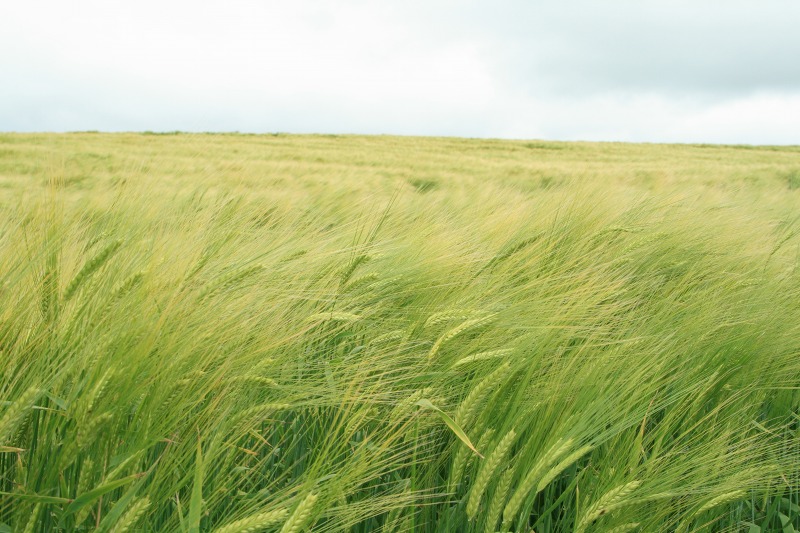 ファイル 180-2.jpg