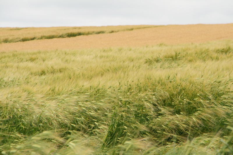 ファイル 180-3.jpg