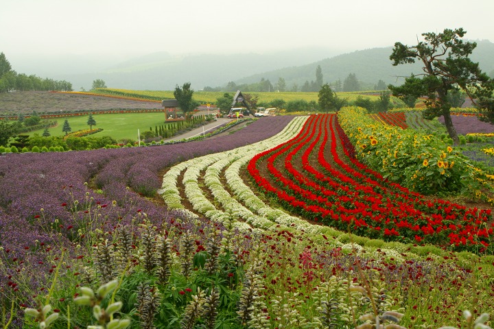 ファイル 184-3.jpg