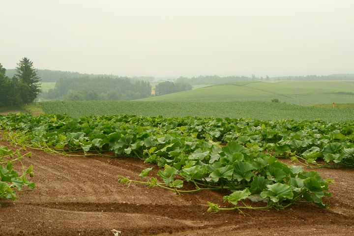 ファイル 185-3.jpg