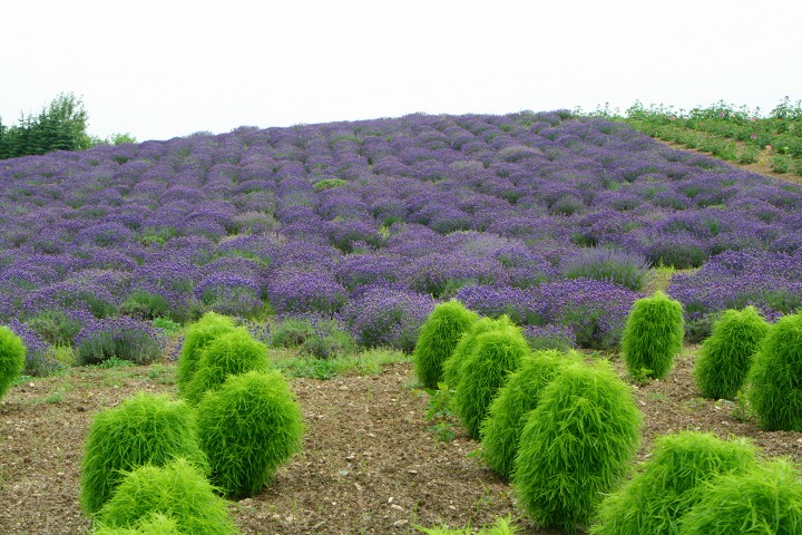 ファイル 186-1.jpg