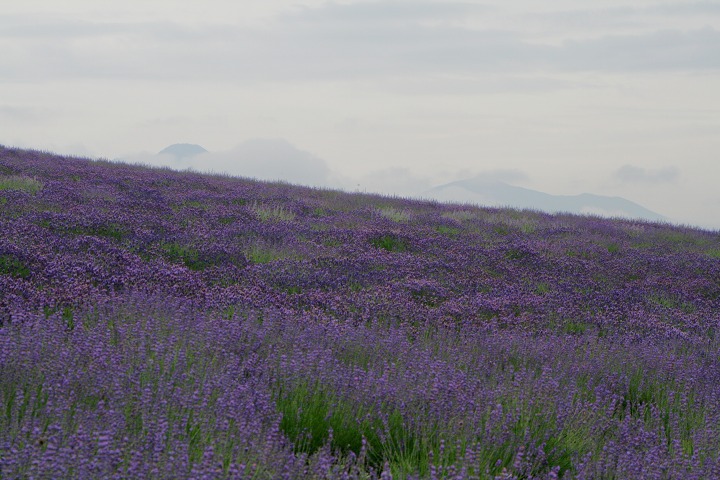 ファイル 186-3.jpg