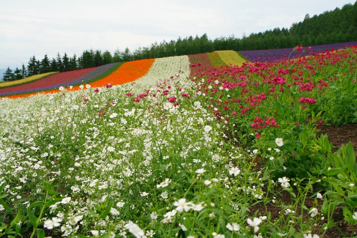 ファイル 187-2.jpg