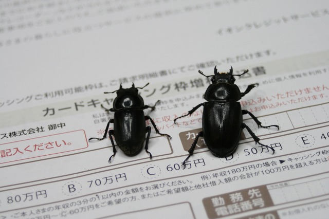 ファイル 189-3.jpg