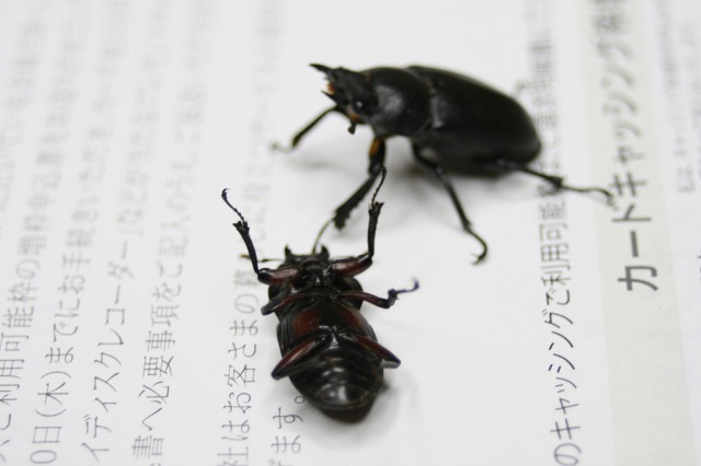 ファイル 189-4.jpg