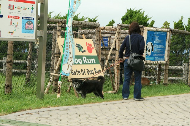 ファイル 190-2.jpg