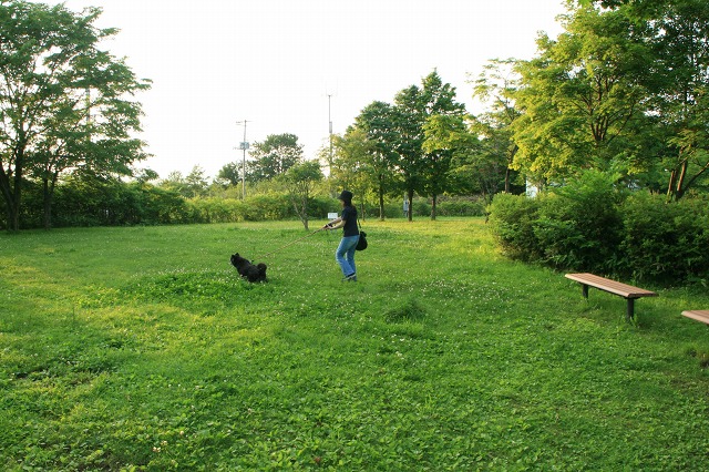 ファイル 190-3.jpg