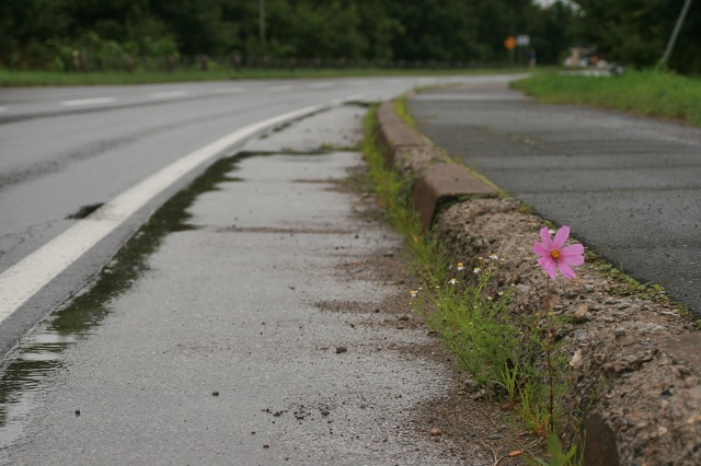 ファイル 192-1.jpg