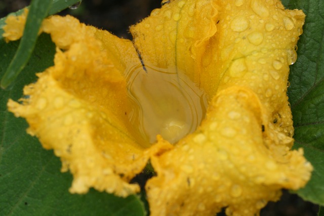 ファイル 192-2.jpg