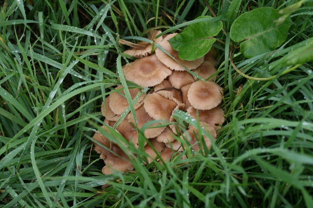 ファイル 192-3.jpg