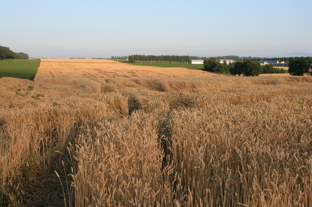 ファイル 193-2.jpg