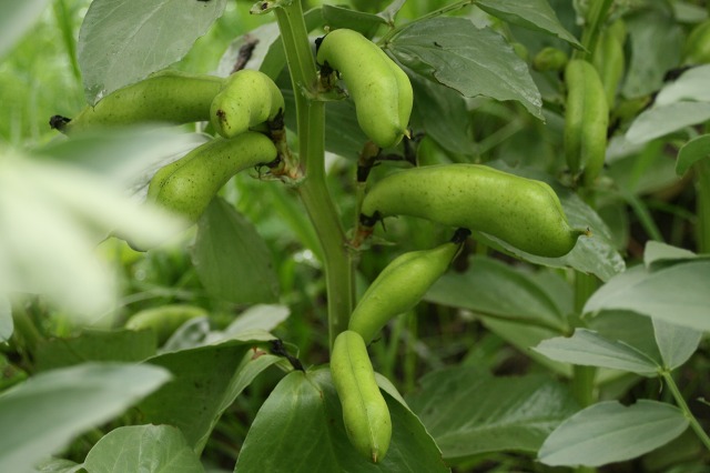 ファイル 193-3.jpg