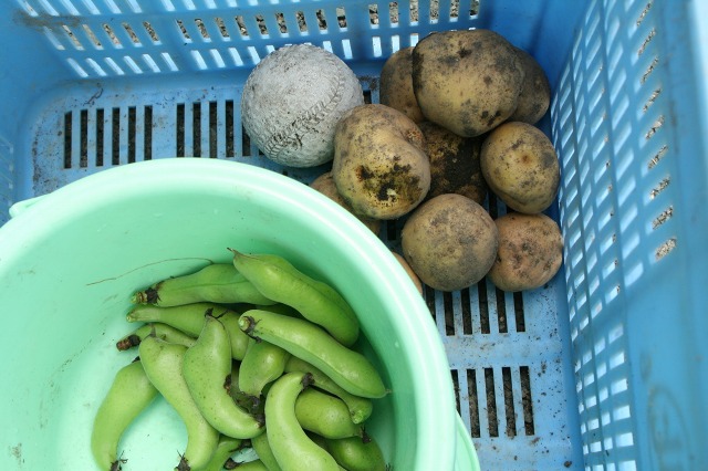 ファイル 194-1.jpg