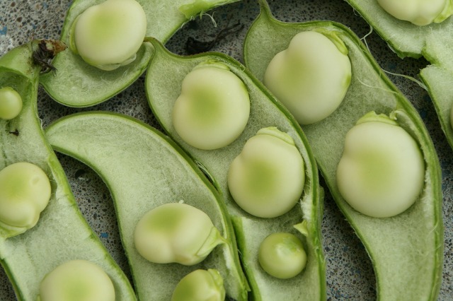 ファイル 194-2.jpg