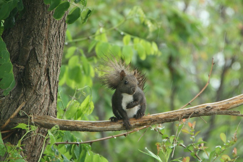 ファイル 196-1.jpg