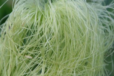 ファイル 197-1.jpg