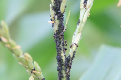 ファイル 197-2.jpg