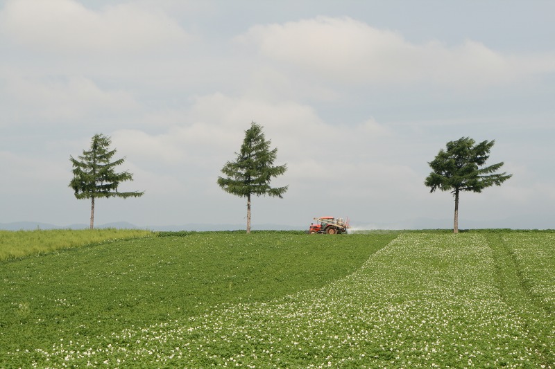 ファイル 198-1.jpg