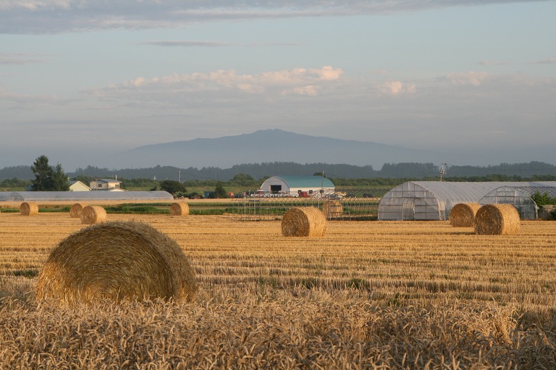 ファイル 198-2.jpg