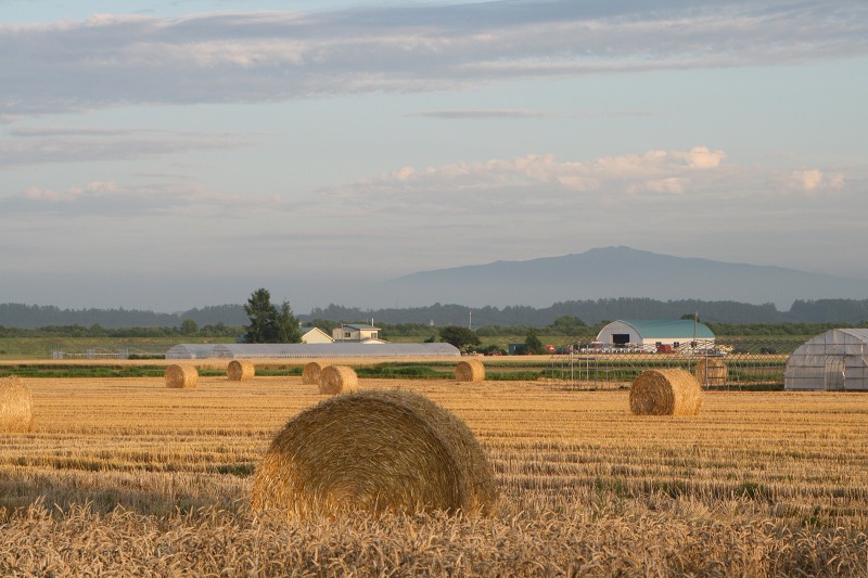 ファイル 198-3.jpg