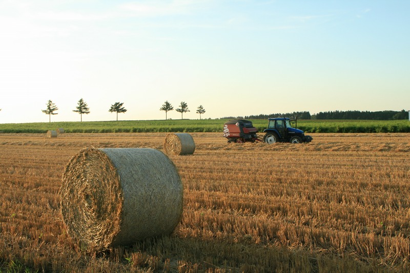 ファイル 199-1.jpg