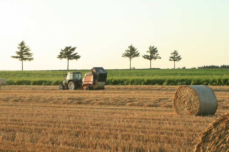 ファイル 199-2.jpg