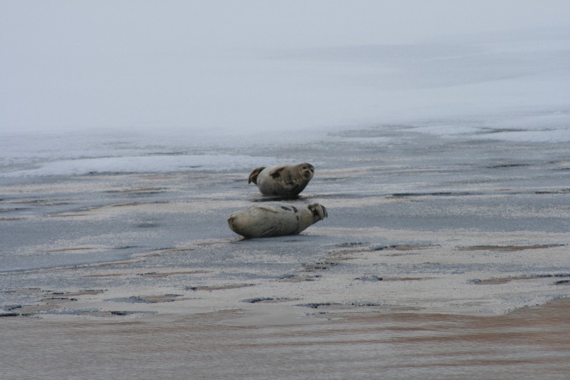 ファイル 20-1.jpg