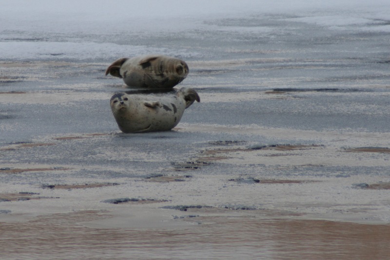 ファイル 20-2.jpg