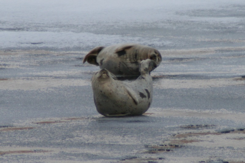 ファイル 20-3.jpg