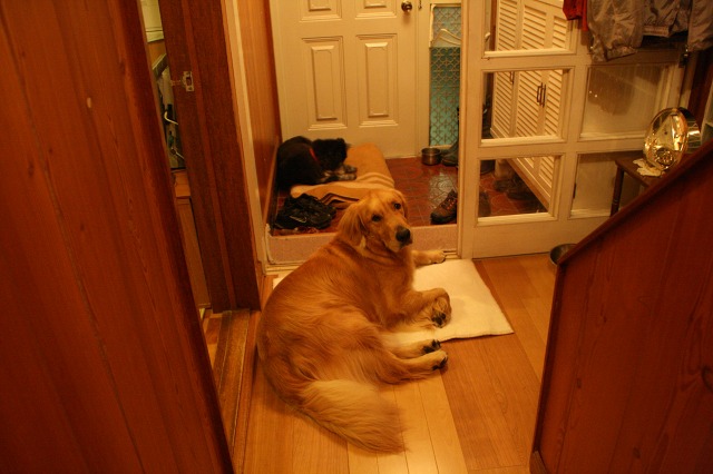 ファイル 200-2.jpg