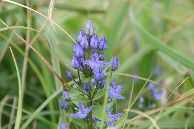 ファイル 201-4.jpg