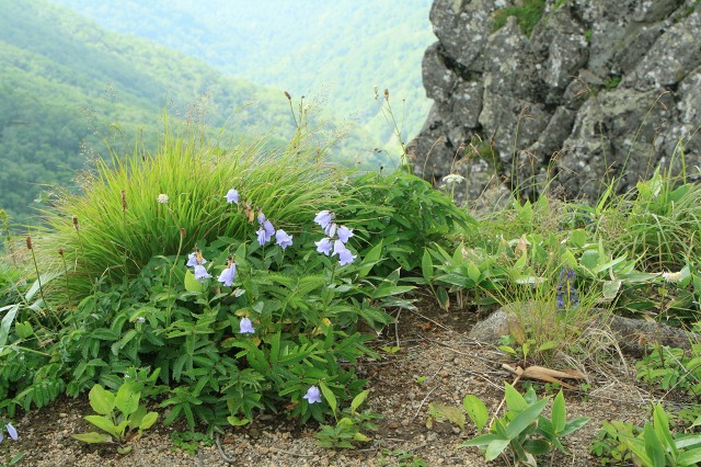 ファイル 201-5.jpg