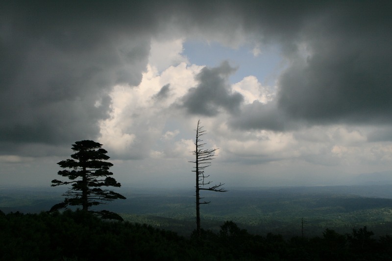 ファイル 202-3.jpg