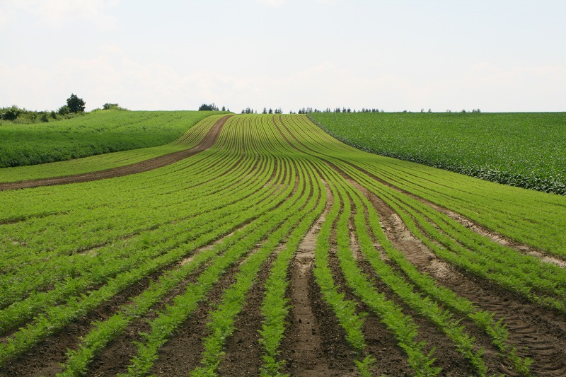 ファイル 203-1.jpg