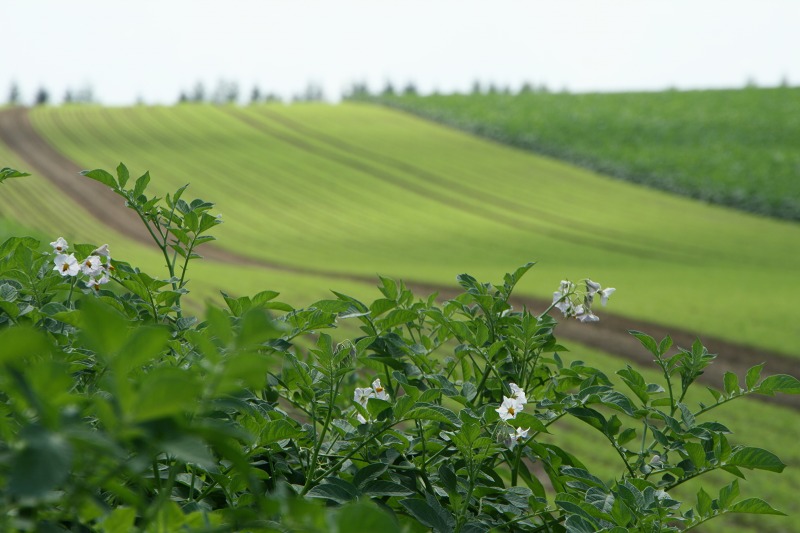 ファイル 203-2.jpg