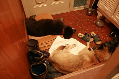 ファイル 205-2.jpg