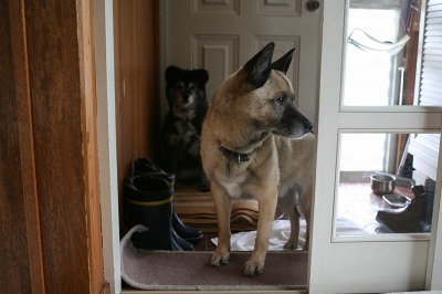 ファイル 205-3.jpg