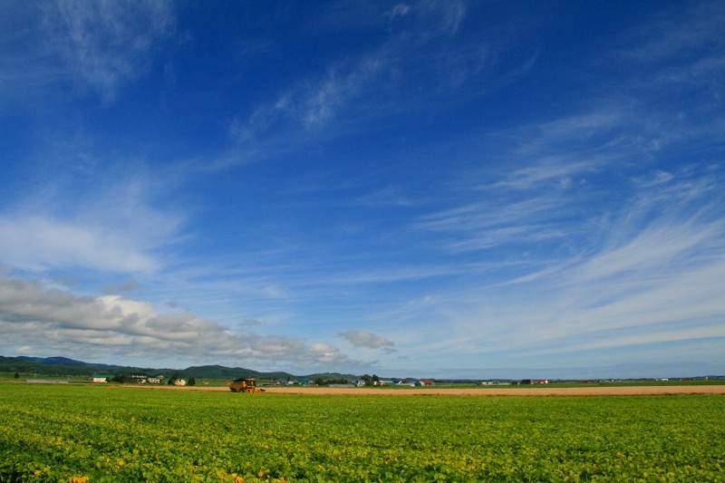 ファイル 210-1.jpg