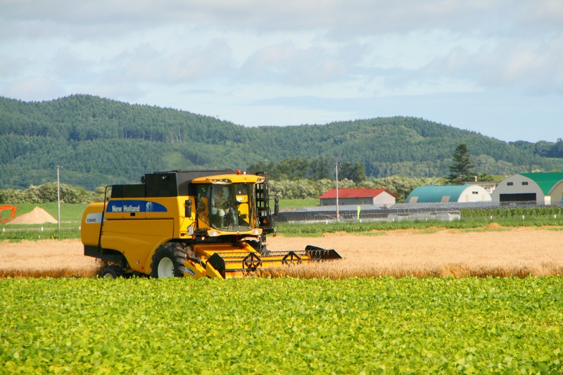 ファイル 210-2.jpg