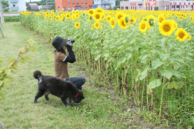 ファイル 212-1.jpg