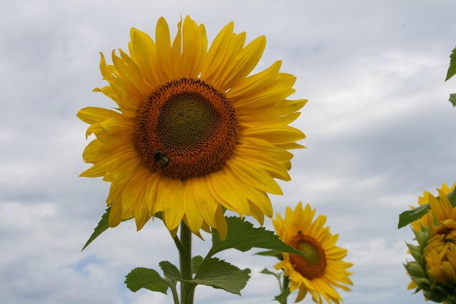 ファイル 212-2.jpg