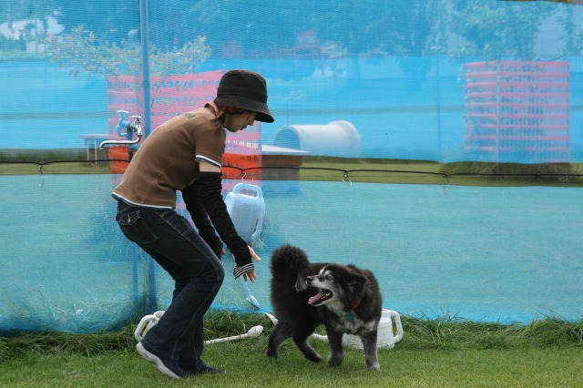 ファイル 212-3.jpg