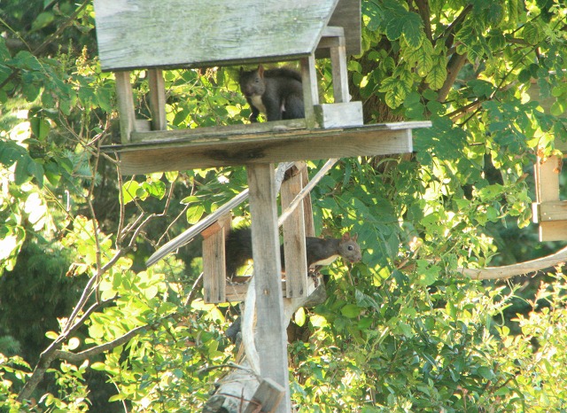 ファイル 212-4.jpg