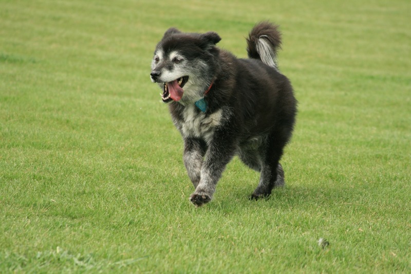 ファイル 212-5.jpg