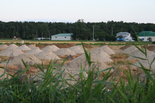 ファイル 214-1.jpg