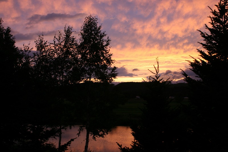 ファイル 215-2.jpg